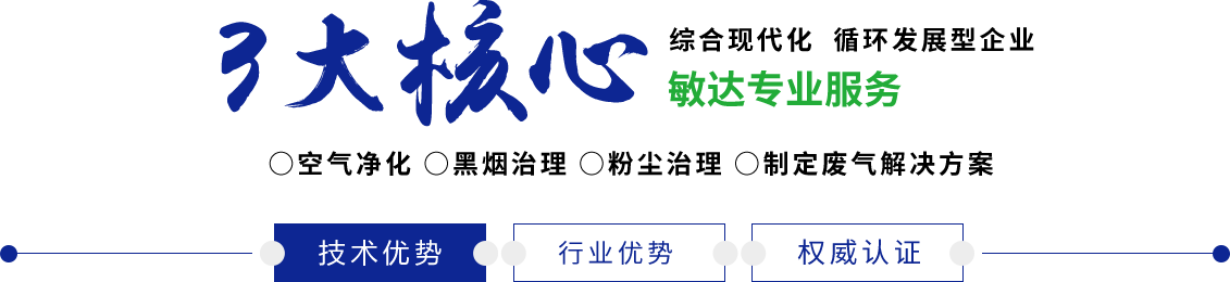 日韩日逼网敏达环保科技（嘉兴）有限公司